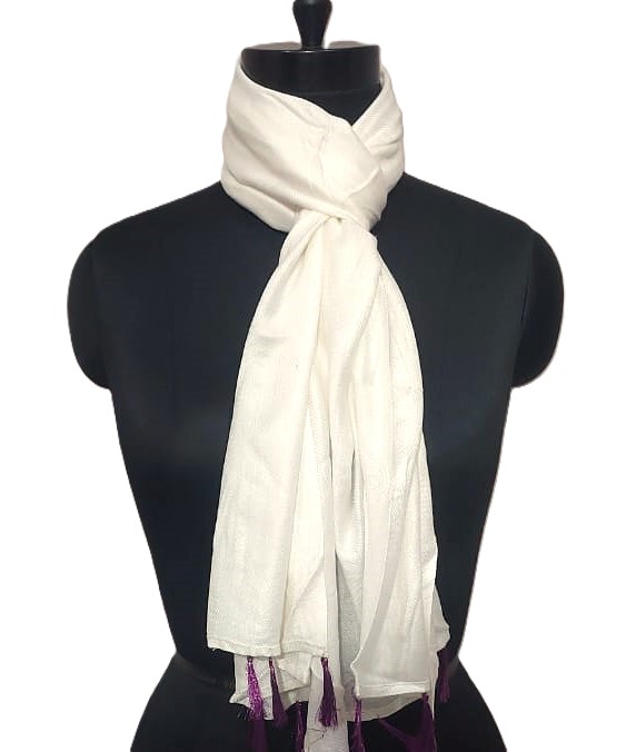 WhatsApp Image 2025-10-06 at 16.36.59_b6a56da8.jpg